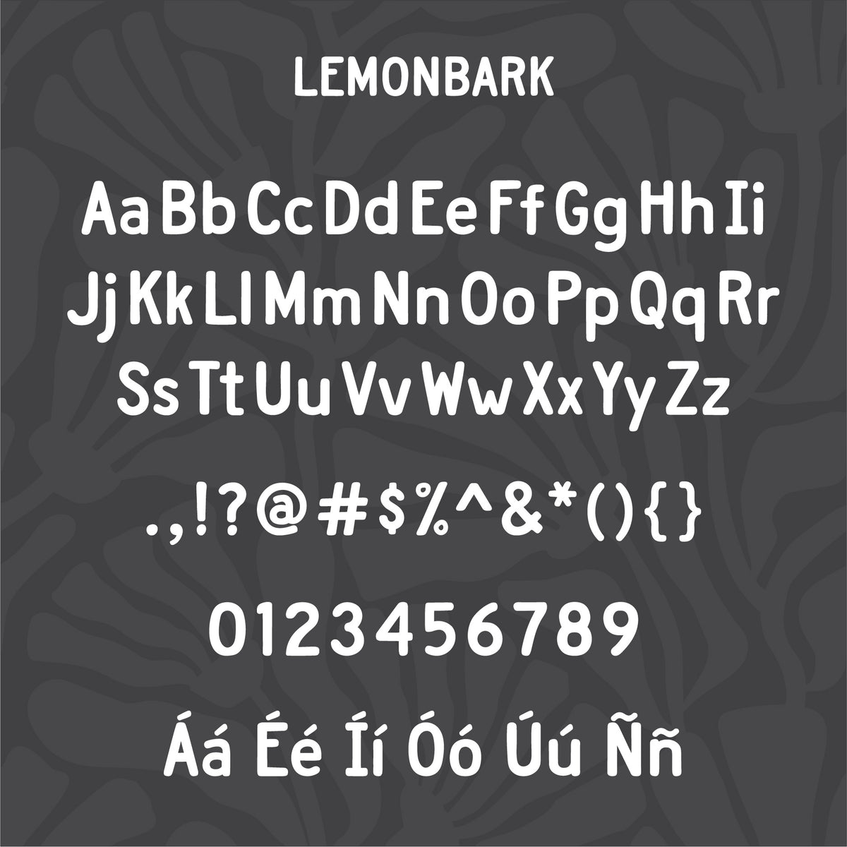best sans serif fonts