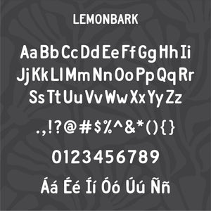 best sans serif fonts